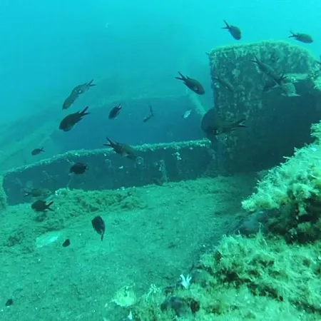 μπροστά στο ναυάγιο καλή τύχη *