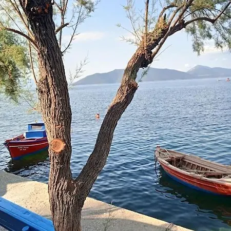 μπροστά στο ναυάγιο καλή τύχη Трикери